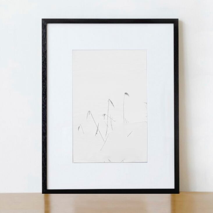 Tetsuya Morimoto Dry Tree #9(black wooden frame 61cm×91cm付き)