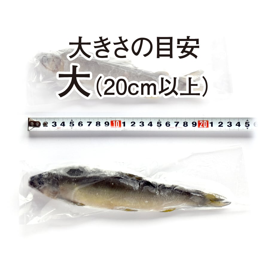 鮎（冷凍・大）5尾セット～しずかのあゆ～ | 山崎水産有限会社