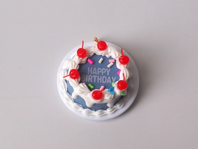 ウルカプキッチンシリーズセンイルケーキ②BLUE