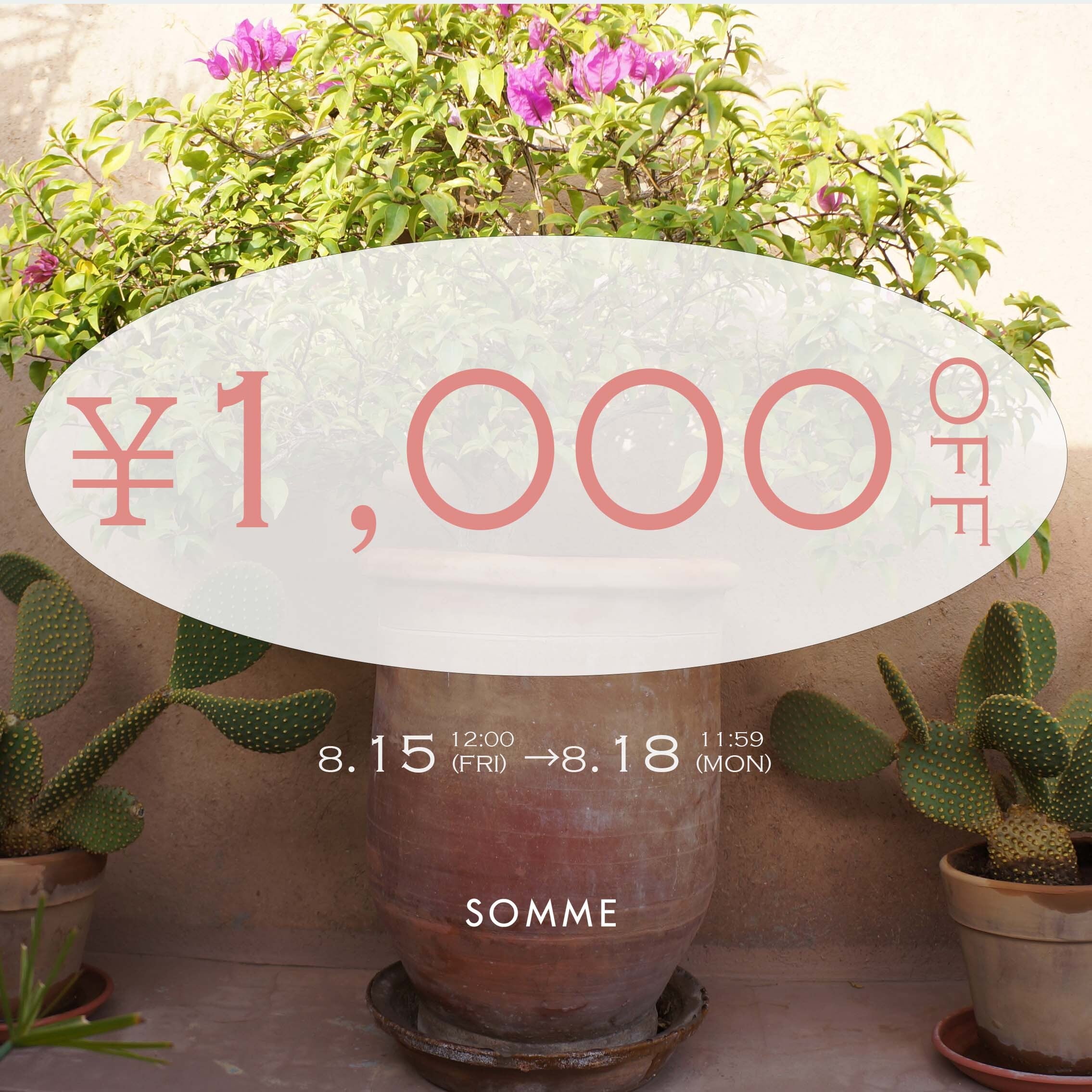 【11/20(木)~11/25(火)限定】1000円OFFクーポン