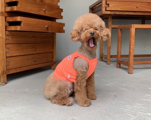 【THEREST OF LIFE】COOL WATER CROP (NEON ORANGE))