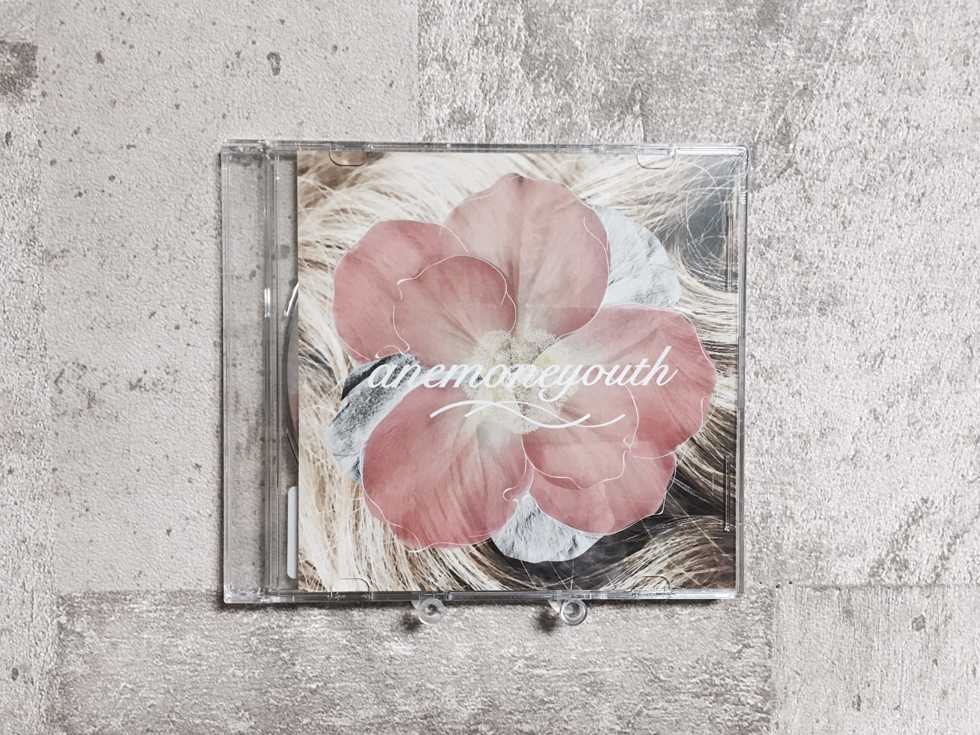 anemoneyouth / Thank You for Being You | HOLIDAY! RECORDS DISTRO