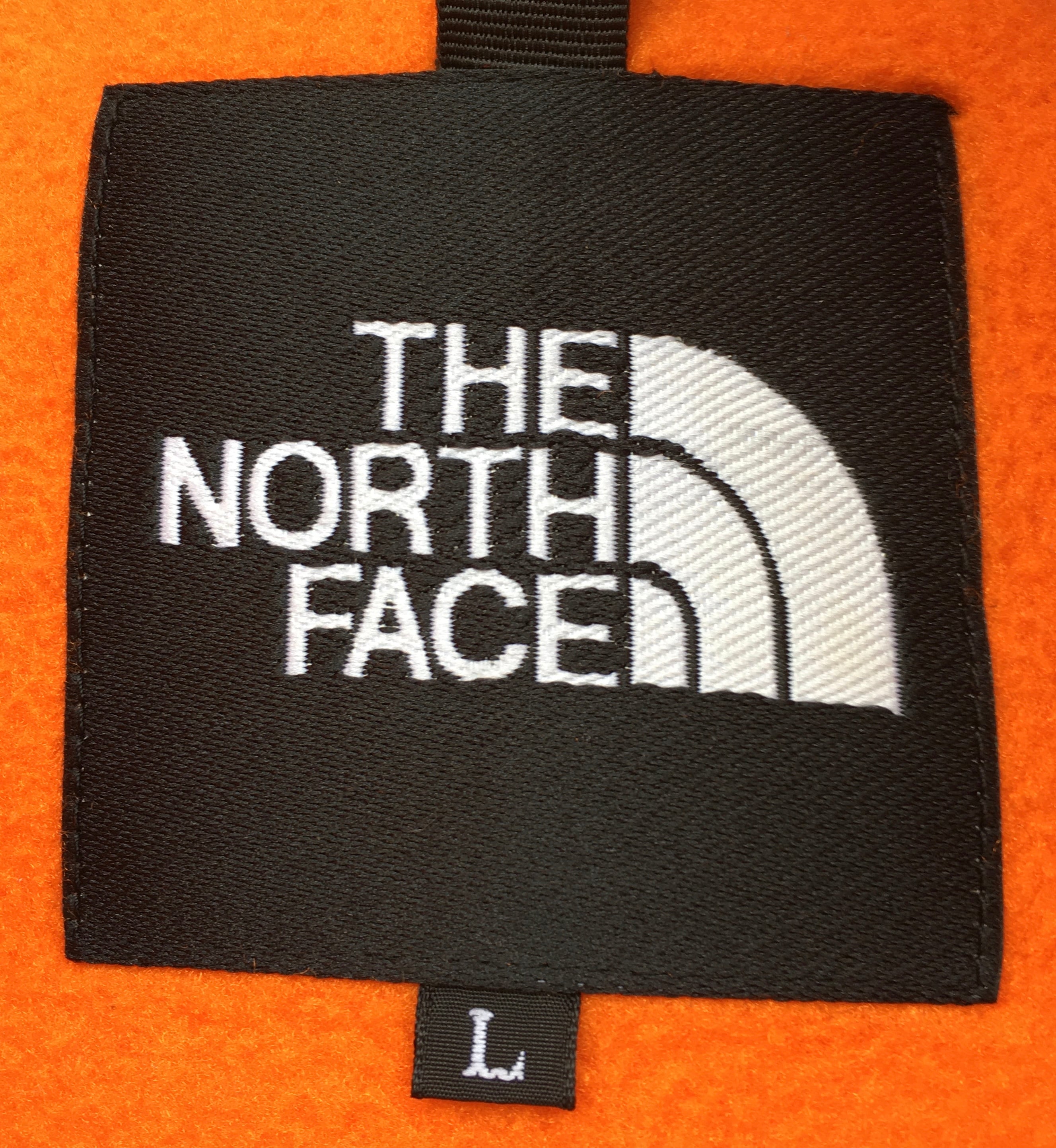 「THE NORTH FACE  40周年デナリフリース　南極エクスペディション