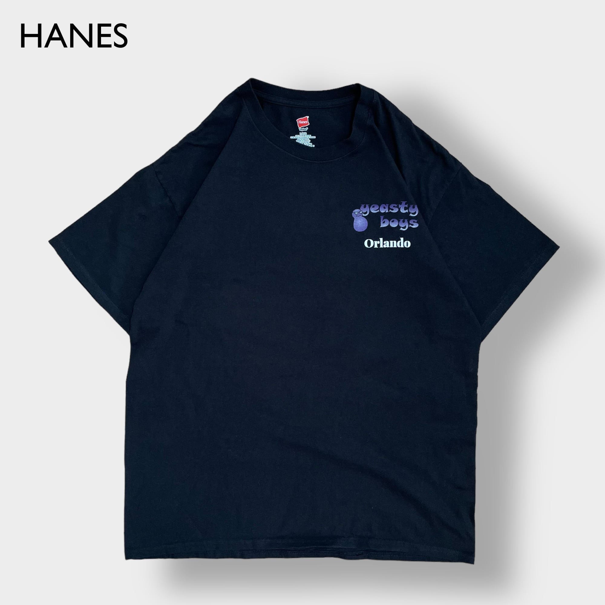 ヘインズ半袖TシャツUSA製バンT80sビッグプリント バックプリント 0