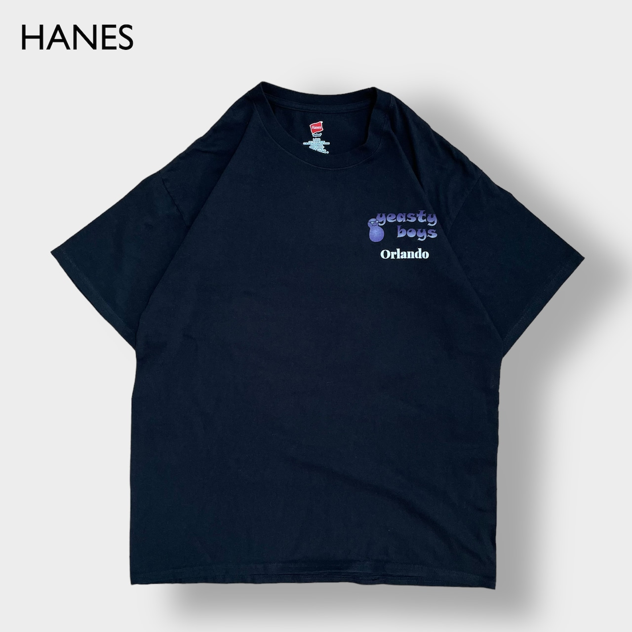 【HANES】YEASTY BOYS イースティボーイズ ワンポイントロゴ プリント バンドTシャツ バンT ロックT バックプリント L 半袖 US古着