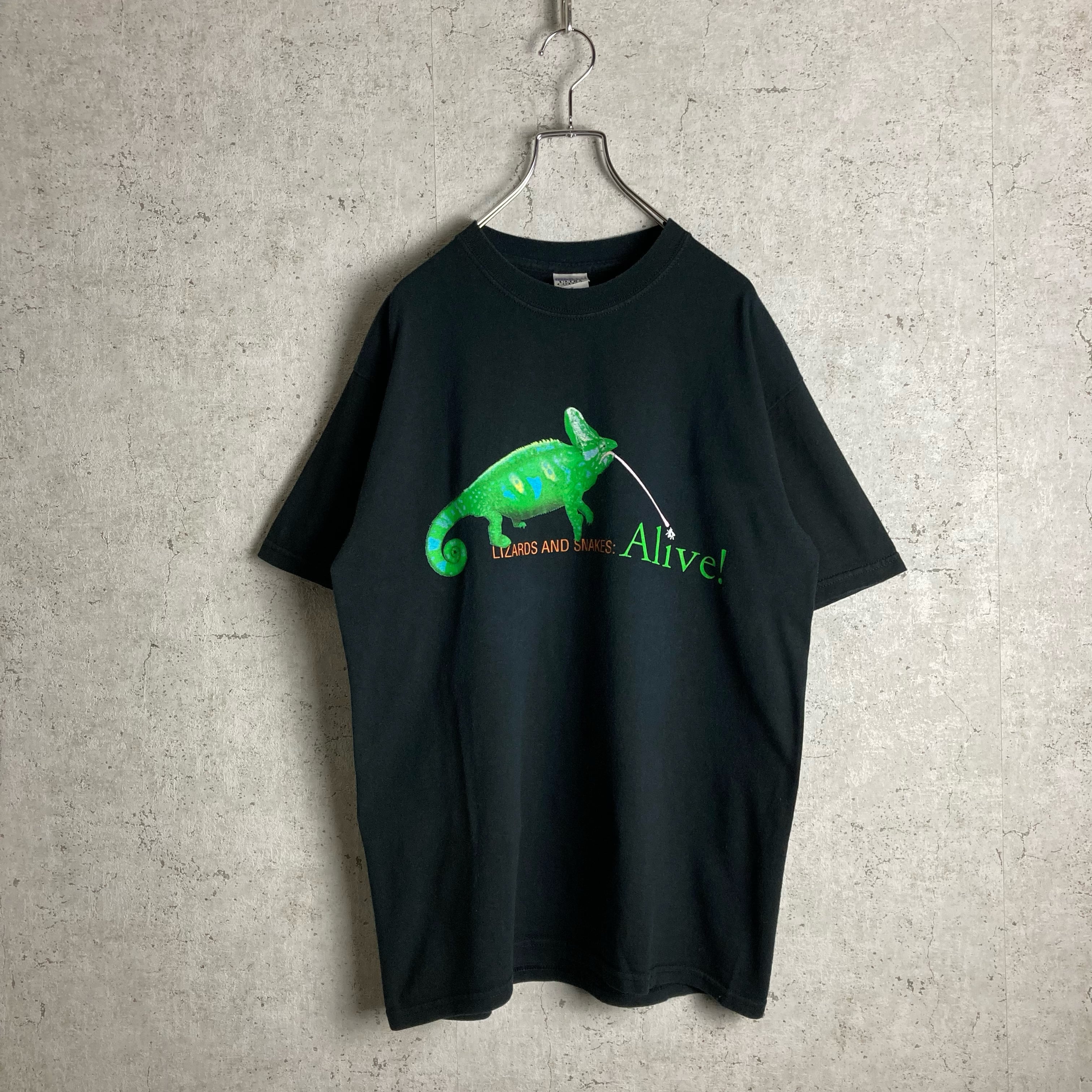 00s~ STUSSY ステューシー ボーダー パイピング ラグラン Tシャツ