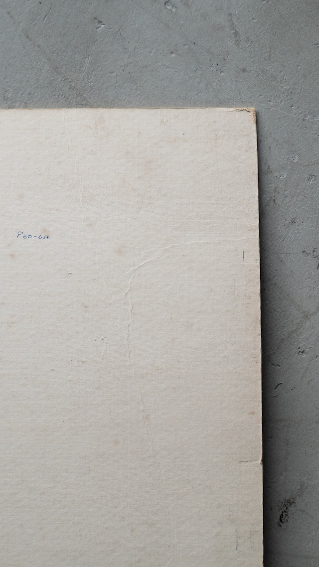 unknown vintage Steel frame photos