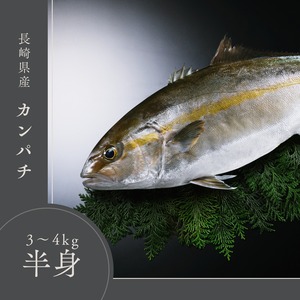 【お歳暮ギフト2025】長崎県産カンパチ半身/ KH