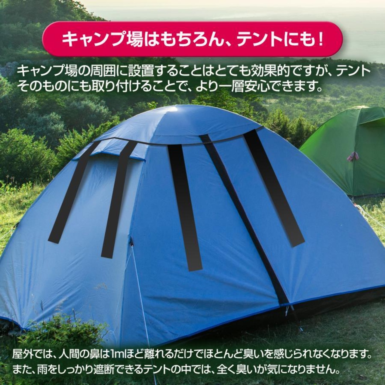 撃退クマ激臭シート2026最新版５０個入 出会ってからの熊撃退スプレー ホイッスル 鈴では遅い！熊よけ 忌避剤 効果は1年間！熊対策グッズ