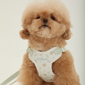 【予約】[ thesallyslaw ] Bailey cushioning harness｜Milk Pistachio