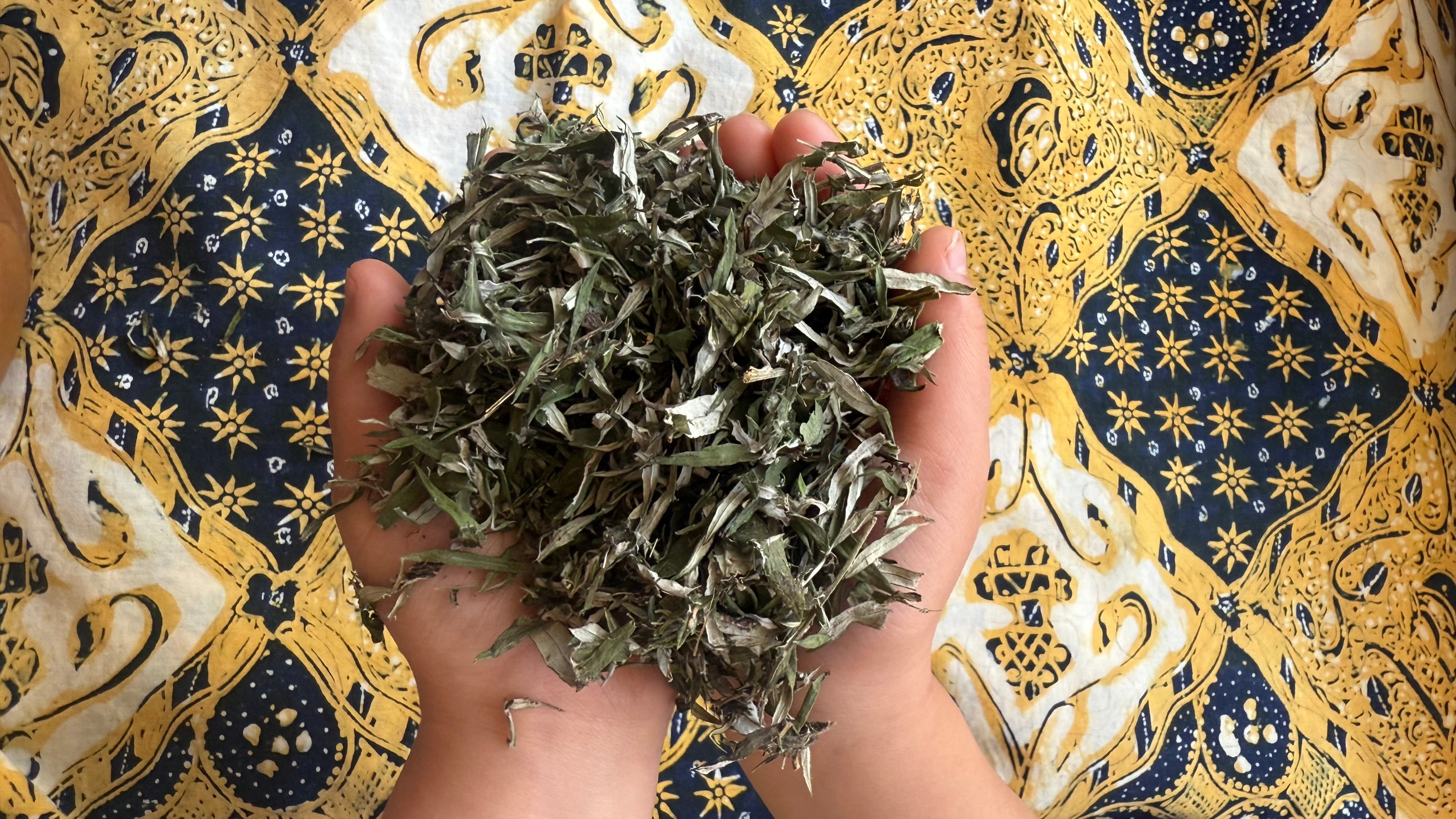 癒の家の優しいよもぎ|茎が少ない国産無農薬乾燥よもぎ(150g)