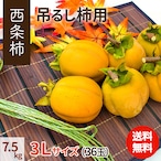【2025年産】【11月発送】吊るし柿用西条柿 3L 36玉（7.5ｋｇ） 吊るし紐付