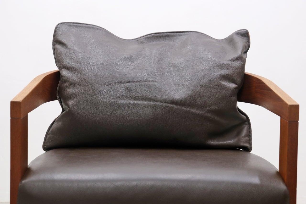 arflex アルフレックス CASTAGNA カスターニャ 本革 モダン 1