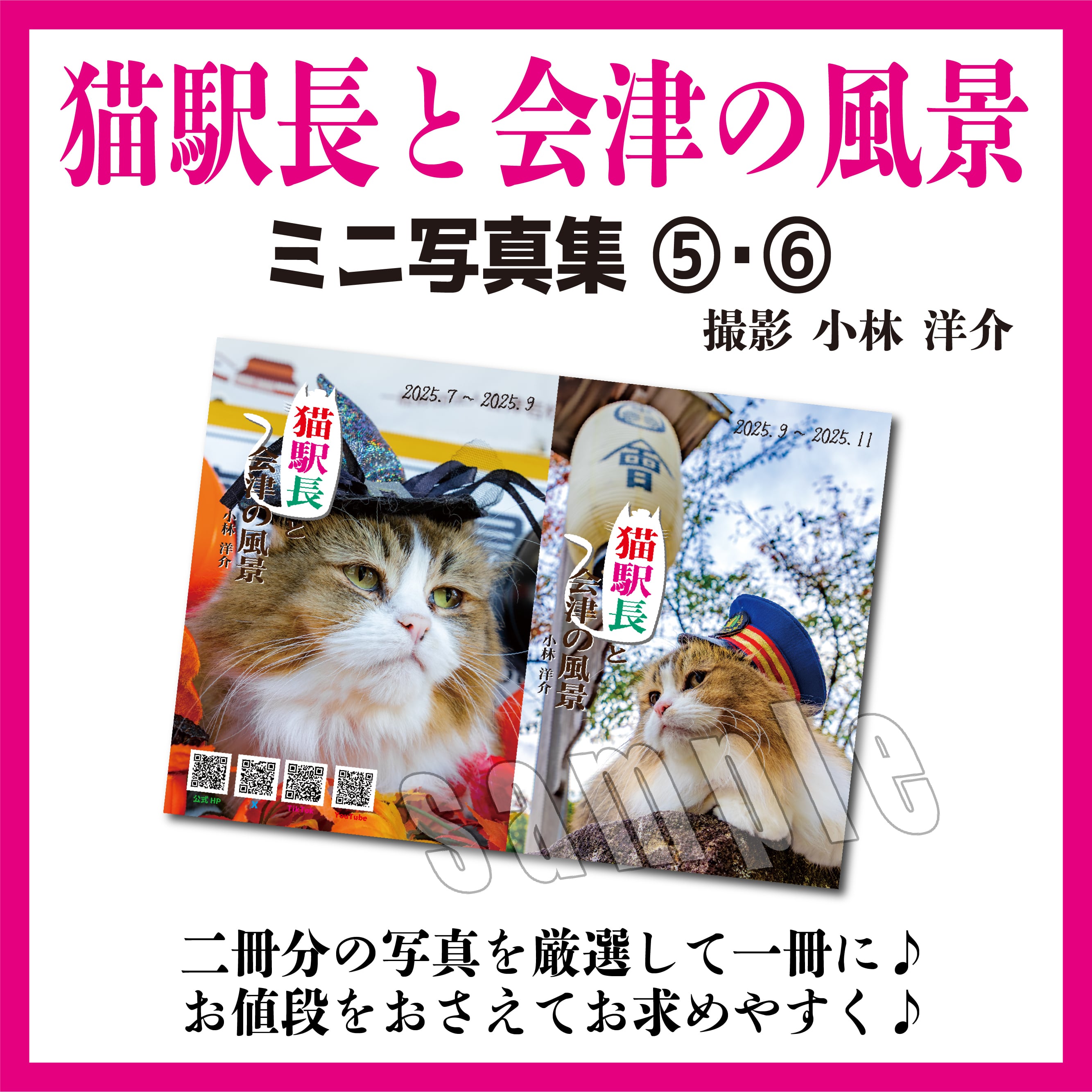 ミニ写真集】猫駅長さんと会津の風景 ⑤・⑥ | Station Master Cat