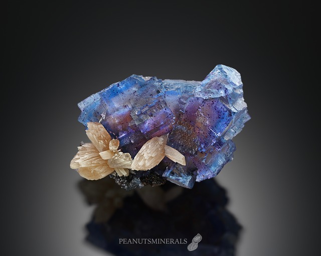 フローライト【Fluorite】岐阜県産