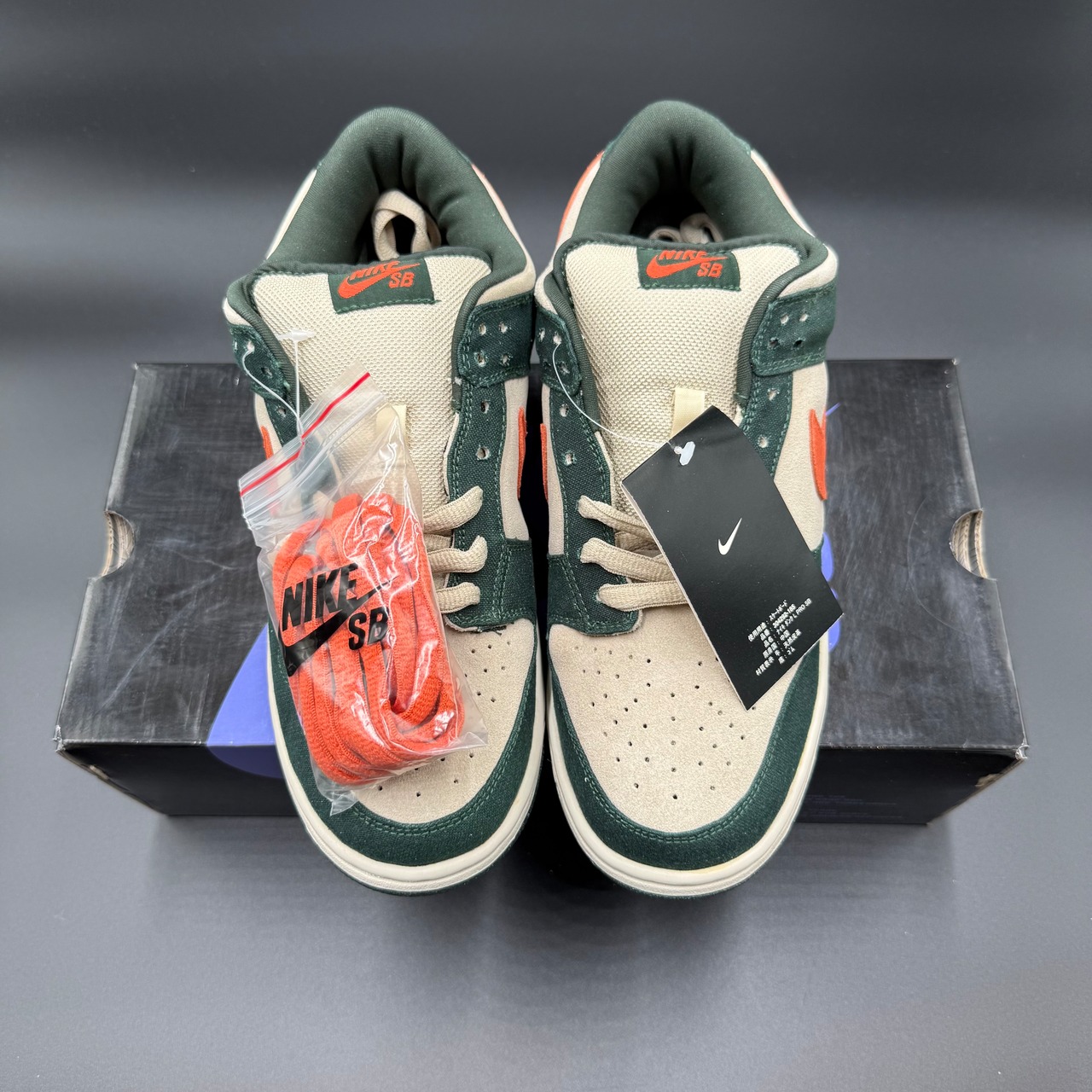 SB DUNK LOW PRO EIRE 304292-185