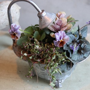 冬から春に楽しむ寄せ植え　和モダンビオラとシックなハボタンとバスタブの寄せ植え　届いてすぐ玄関に飾れる 　プレゼントにもオススメ　