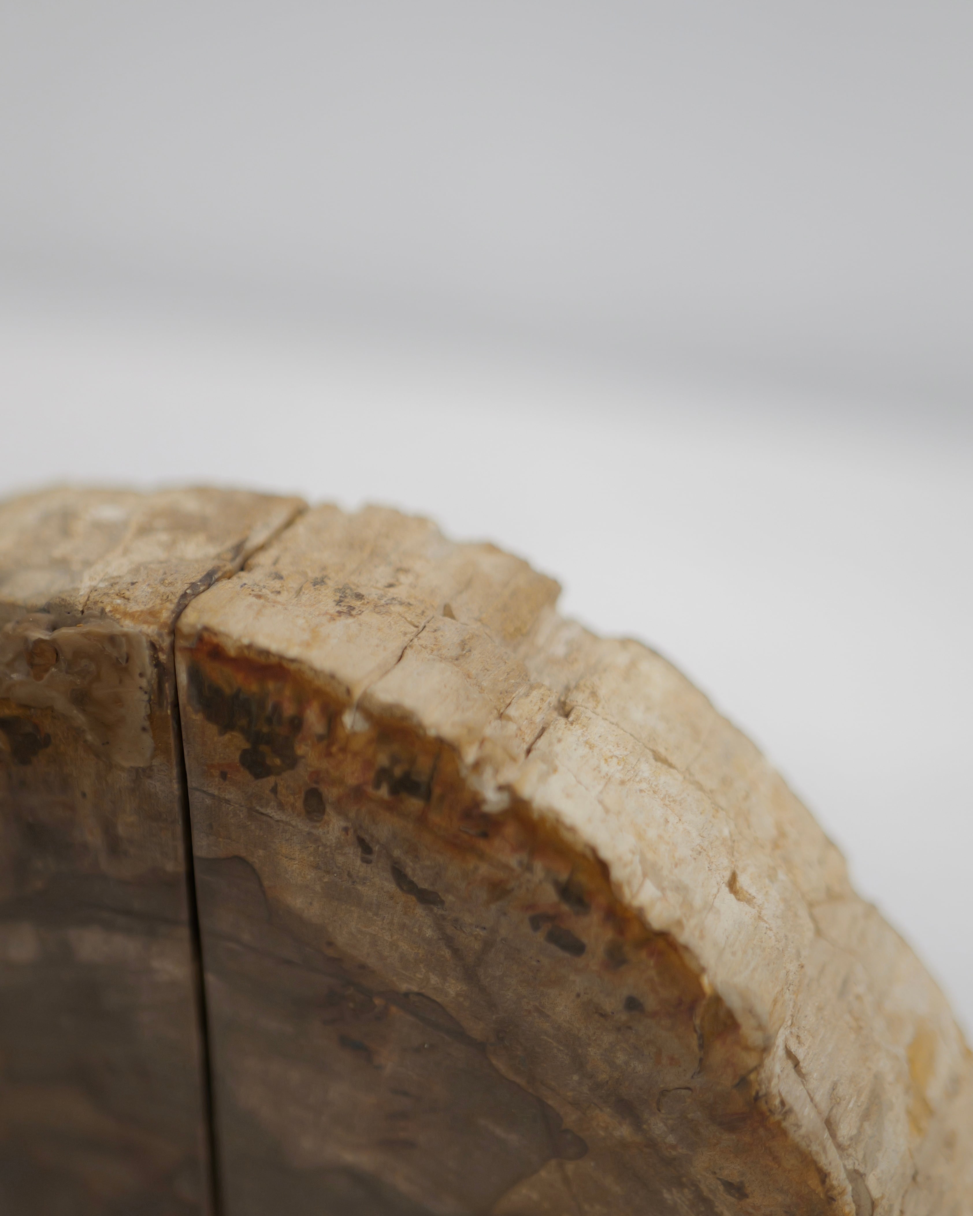 OAK Petrified Wood - Book End #001 ：Natural｜珪化木／一点もの