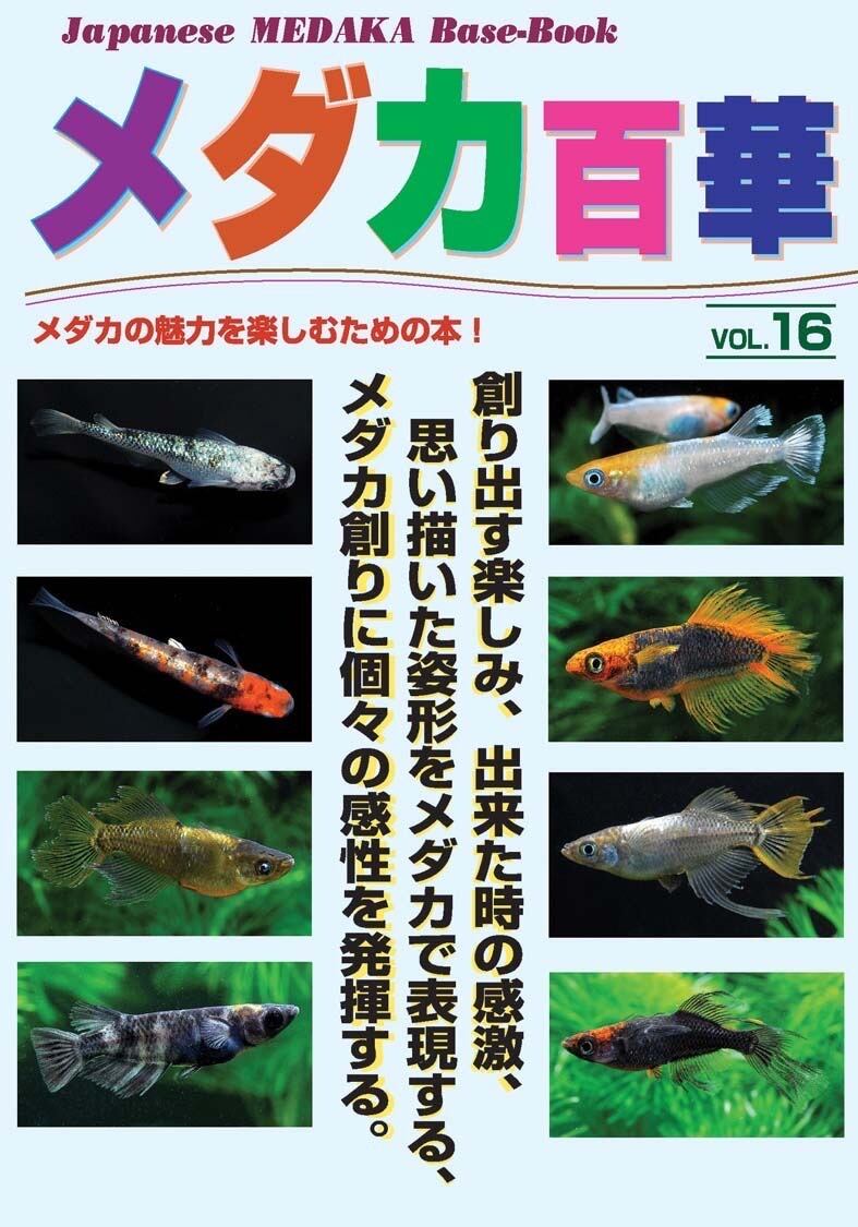 メダカ品種図鑑IV | 目高工房江戸