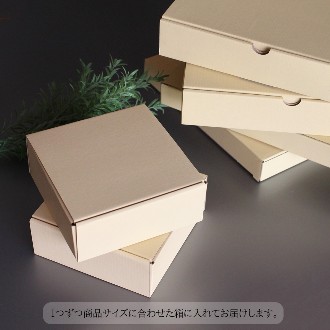 Mist gray/Siro  ミストグレー／シロ　23.5cmプレート