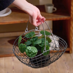 アイアン ボートバスケット M