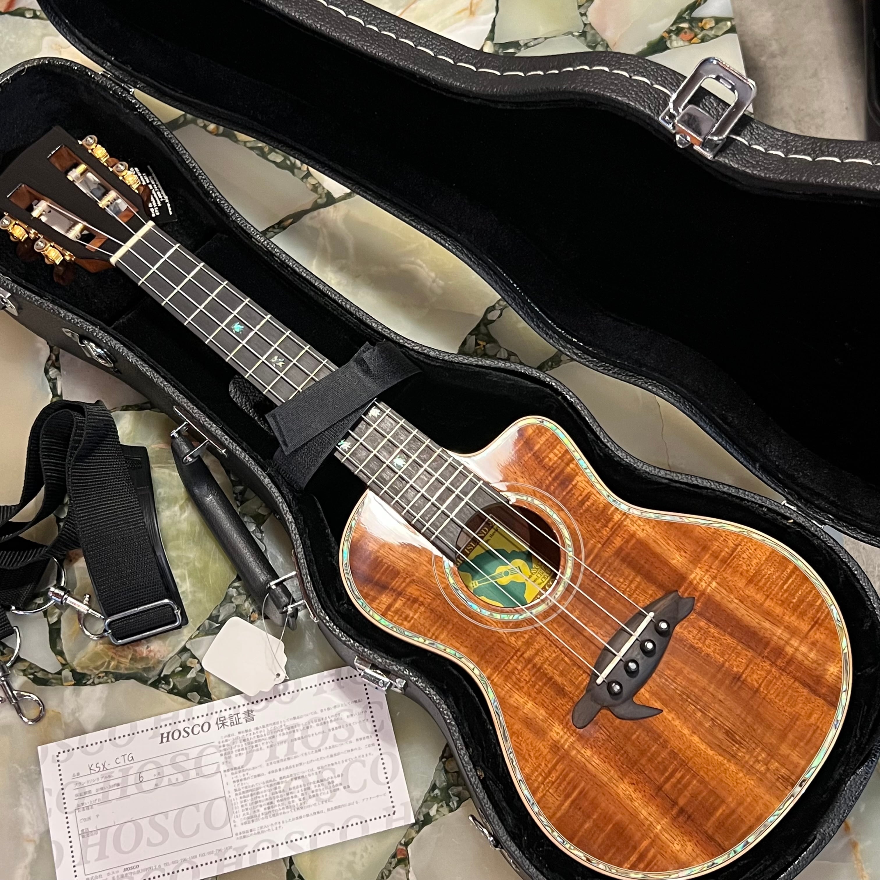 新品 デッドストック品特価 調整後発送 Big Island コンサートウクレレ