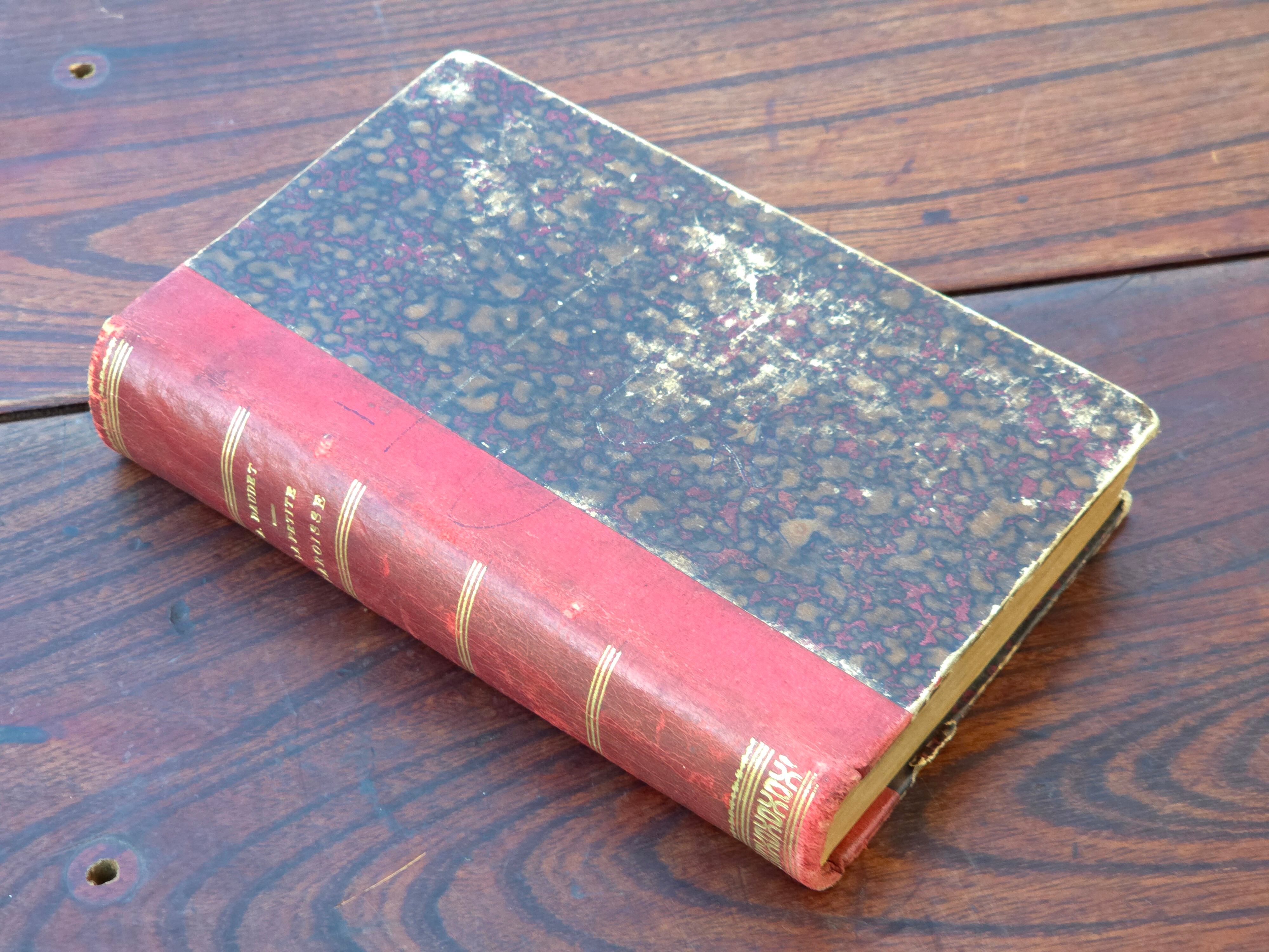 【Antique】フランス 1895年 書籍 ”小さな教区” /d028