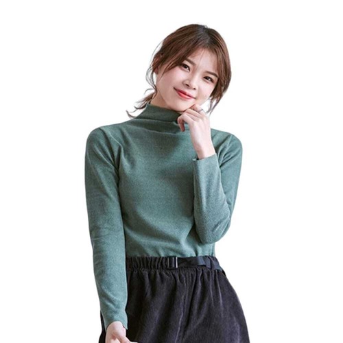 レディース服 ハイネックプルオーバー 秋 春 冬 あったかい 無地 やわらか素材 シンプル デザイン 大人女性 きれいめ カジュアル コーデ 重ね着 フリーサイズ 防寒 トップス セーター 長袖 ニット カットソー　cw-a-6228