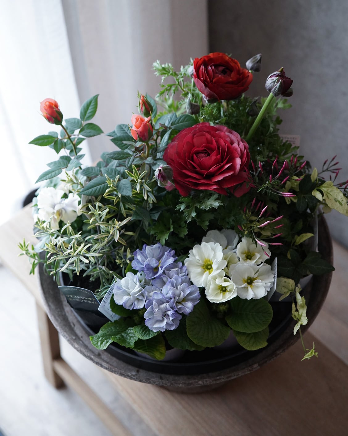 花苗セット（セット販売） | アトリエ ヴィネット（花苗・鉢・寄せ植え