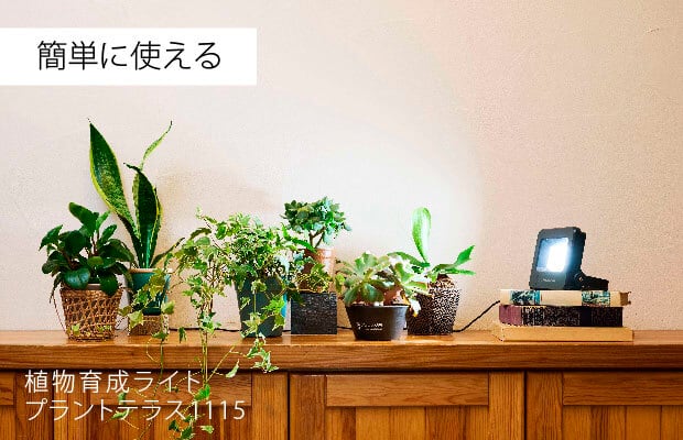 植物育成ライト プラントテラス1115 スタンド LED照明 太陽光 簡単