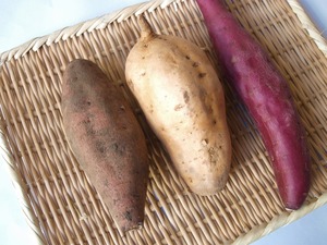 焼き芋にして食べ比べてみませんか？セット