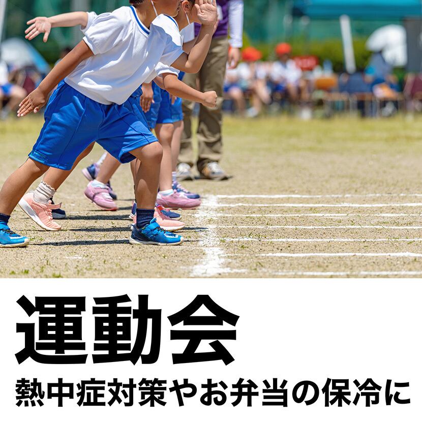 氷点下冷却剤 ソフトタイプ 300g×54個 業務用