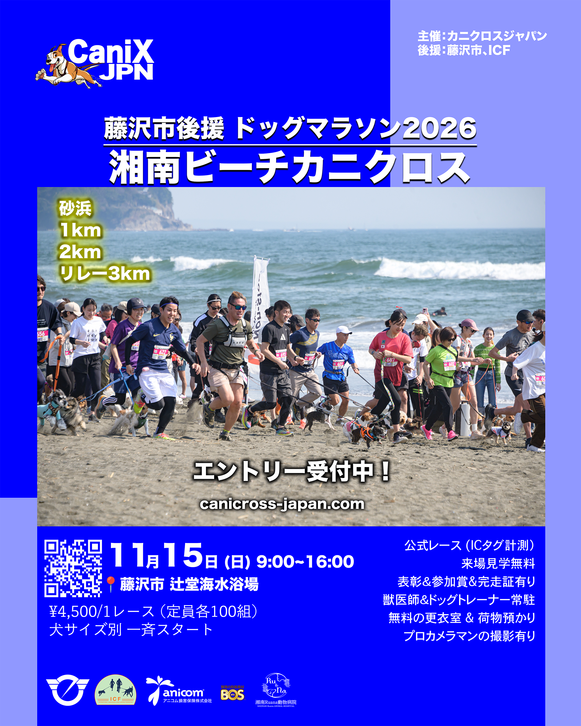 ドッグマラソン2026 湘南ビーチカニクロス | カニクロスジャパン