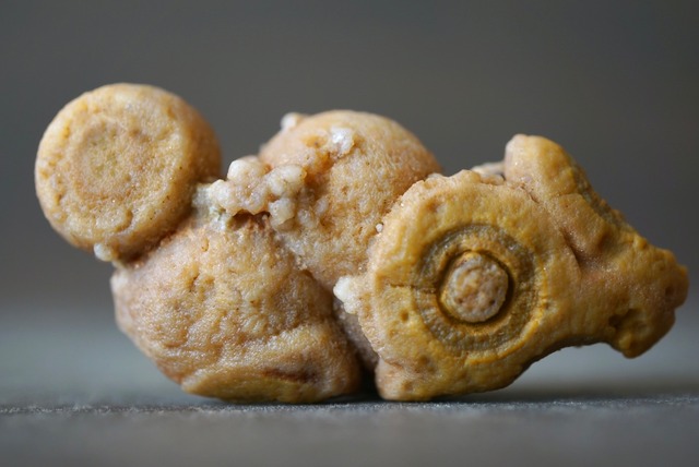 ゴビアゲート 特殊 Gobi Agate 1316