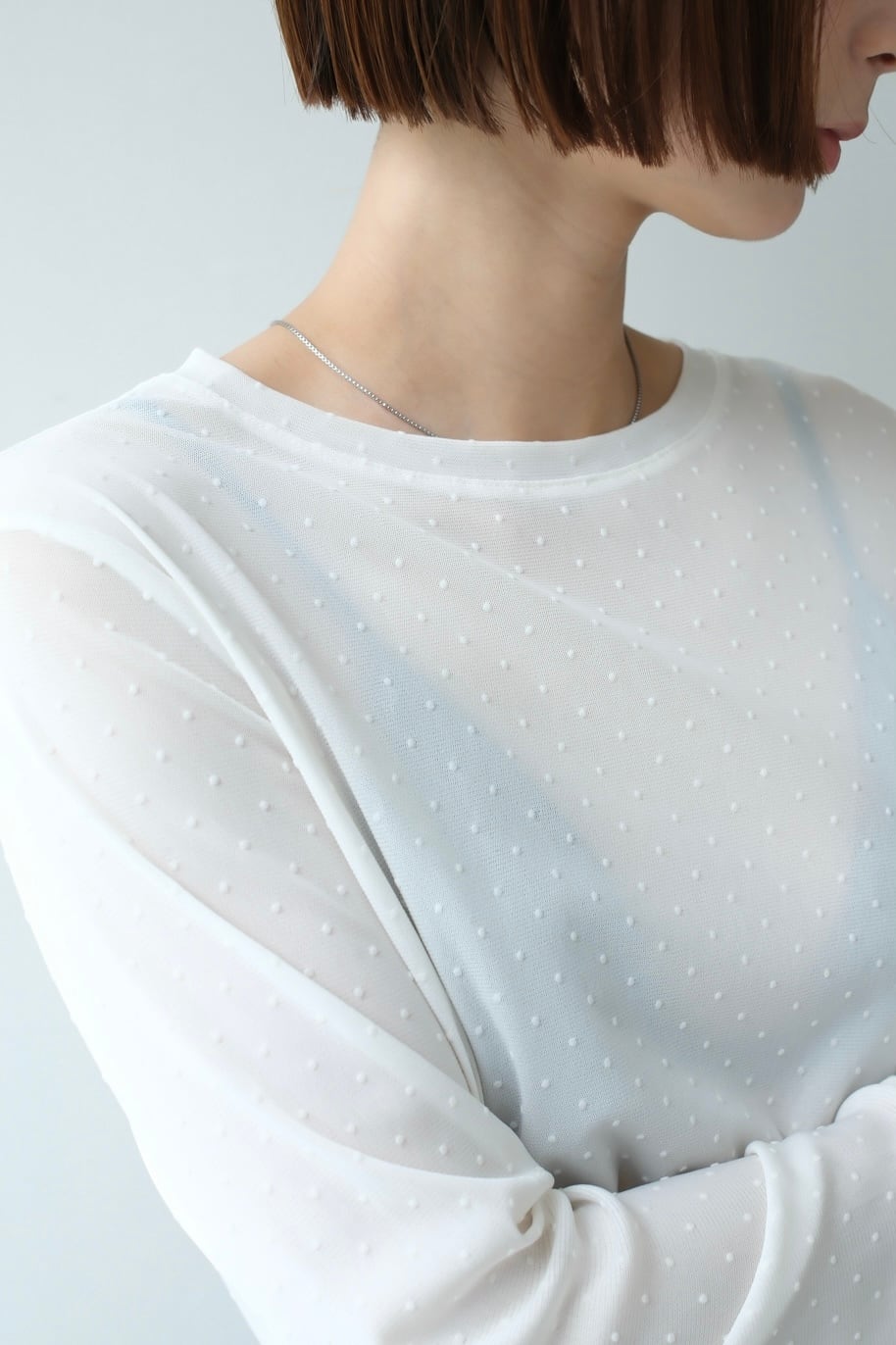 Crew Neck Flocky Dot Print Sheer Tops クルーネックフロッキードットシアートップス White