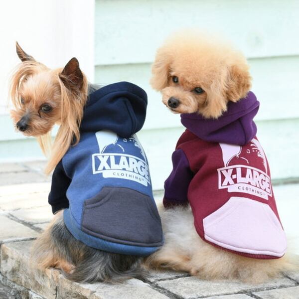 XーLARGE エクストララージ オージークレイジーフーディー 犬服