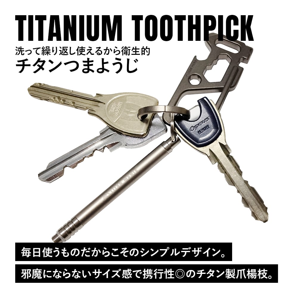 つまようじ 爪楊枝 チタン製 携帯用 便利 おしゃれ 軽量 防水 フルーツ