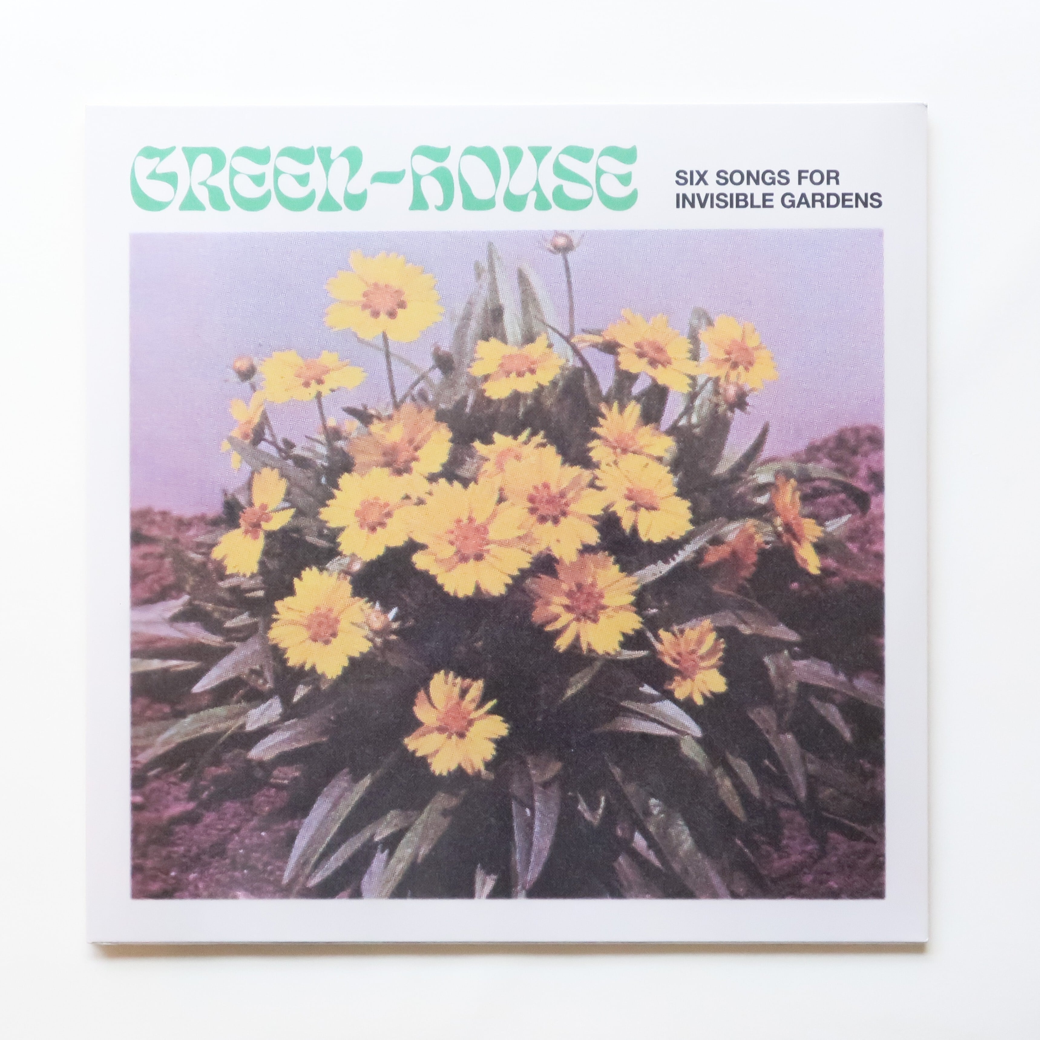 never young beach / YASHINOKI HOUSE | 本と音楽の店 つぐみ