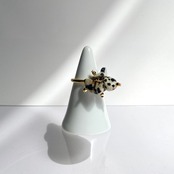 ダルメシアンと夜のお散歩