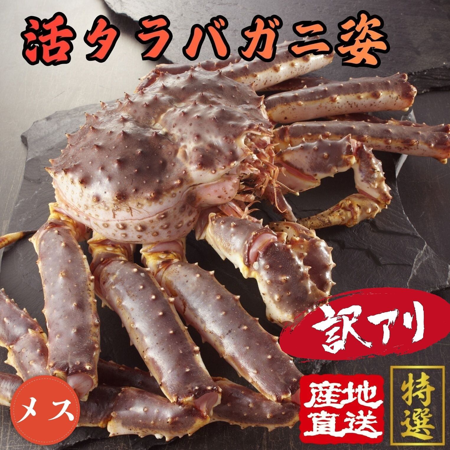 ボイル タラバガニ タラバガニ足 数量限定 蟹ハサミ・ガイド 1.5kg 