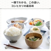 おくさま印 新潟県魚沼産 コシヒカリ 5kg 米 令和7年産