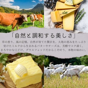 フランス産 コンテ AOP 8ヶ月熟成 チーズキューブ 1kg（1cm角）｜グラスフェッド・フレッシュカット・業務用・大容量    French Comte AOP Cheese Cubes 1kg (1cm Cut) – Aged 8 Months | Grassfed | Whole & Bulk