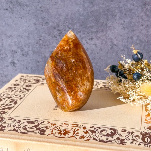 ゴールデンヒーラー　フレイム