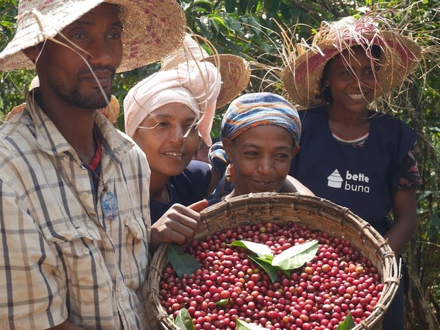 NAKAJI買い付けのエチオピアコーヒーGERSI（DT120）Natural [コーヒー豆:200g]