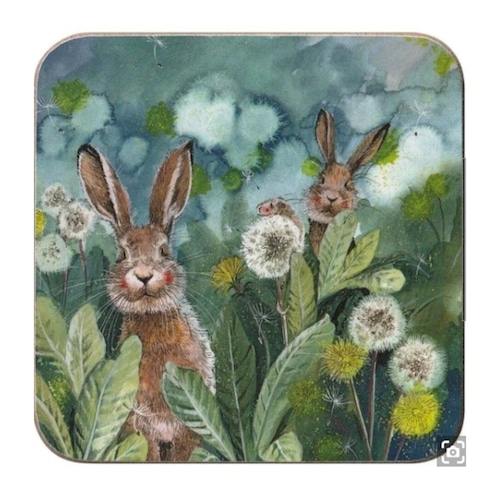 コースター　アレックス・クラーク　うさぎ