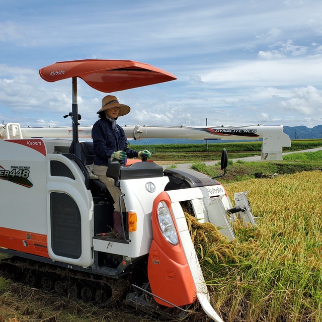 2合(300ｇ) ×15袋　魚沼産コシヒカリ レギュラー松兵衛