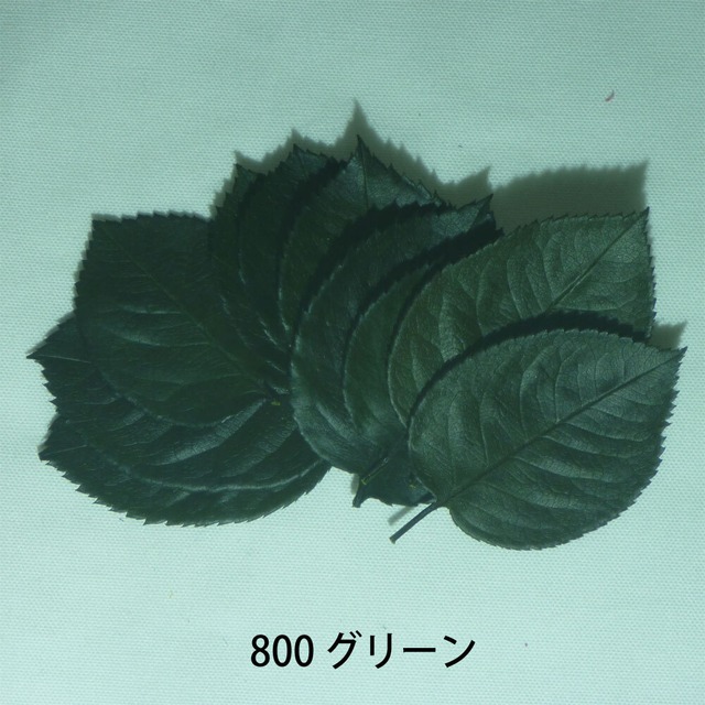 フロールエバー ローズリーフ 小分けパック