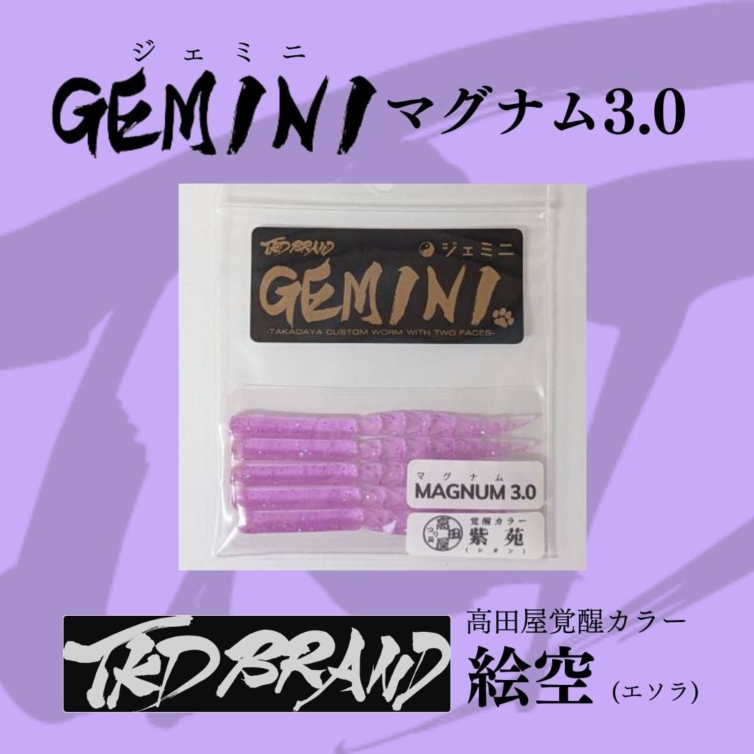 漁港ワームlv.2 紫苑（シオン）高田屋覚醒カラー レベロク×高田屋