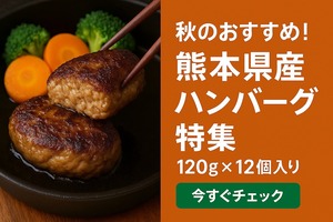 【今だけ１０％OFF】【送料無料】手ごねハンバーグ 120g 8個セット こだわりの手ごね製法 贈り物にも喜ばれる本格ハンバーグ。冷凍　小分け