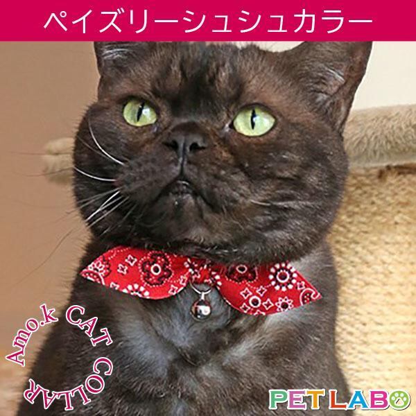 【メール便発送可能です】Amo.k(アモワークス)猫用首輪・ペイズリーシュシュカラー 首輪 胴輪 ハーネス お散歩 お出かけ お洒落 おしゃれ かわいい